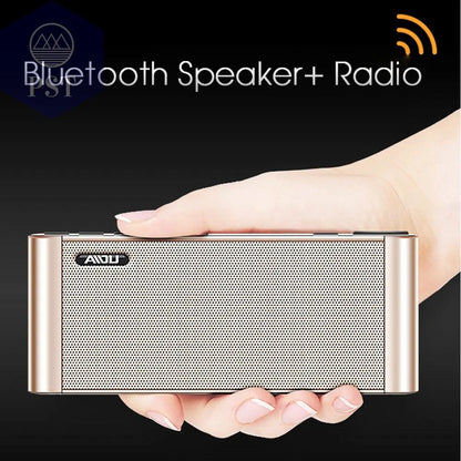 Portable Wireless HiFi Bluetooth Speaker with Microphone       PST PS Tradings